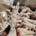 去骨鸡爪817大肉食规格齐全可定做工厂直全国发货