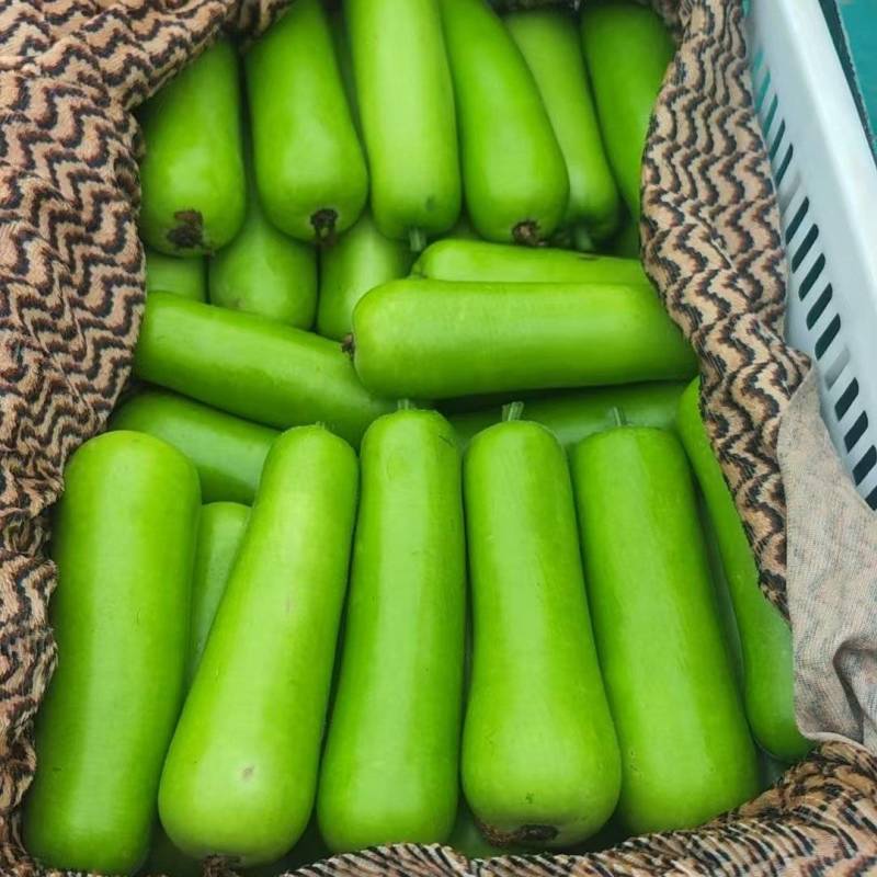 精品胡瓜