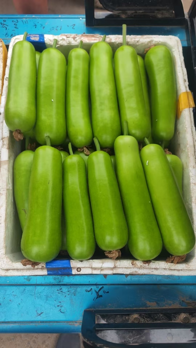 精品胡瓜