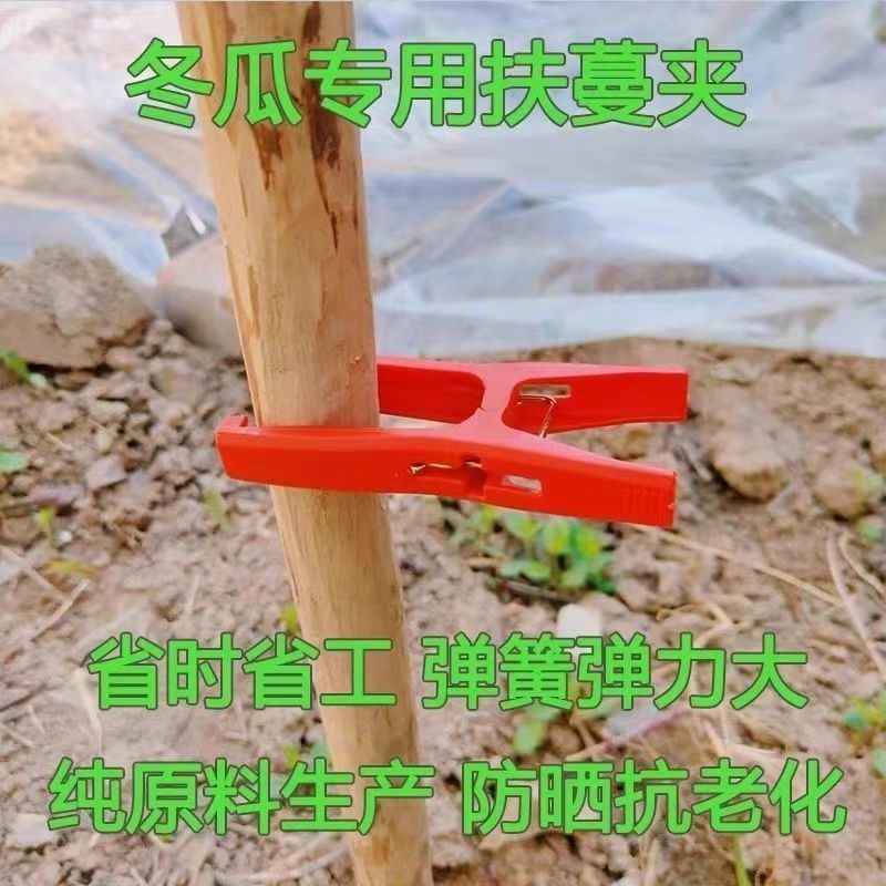 冬瓜夹子藤曼夹苦瓜夹丝瓜罗汉果夹黄瓜绑枝扶蔓夹固定防风夹