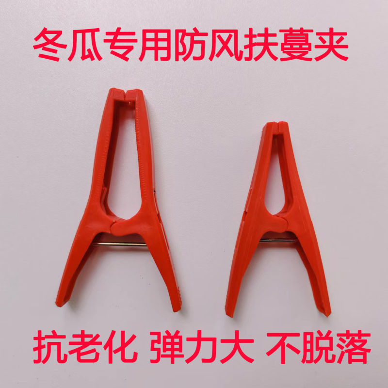 冬瓜夹子藤曼夹苦瓜夹丝瓜罗汉果夹黄瓜绑枝扶蔓夹固定防风夹