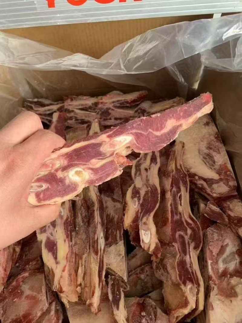 牛光排