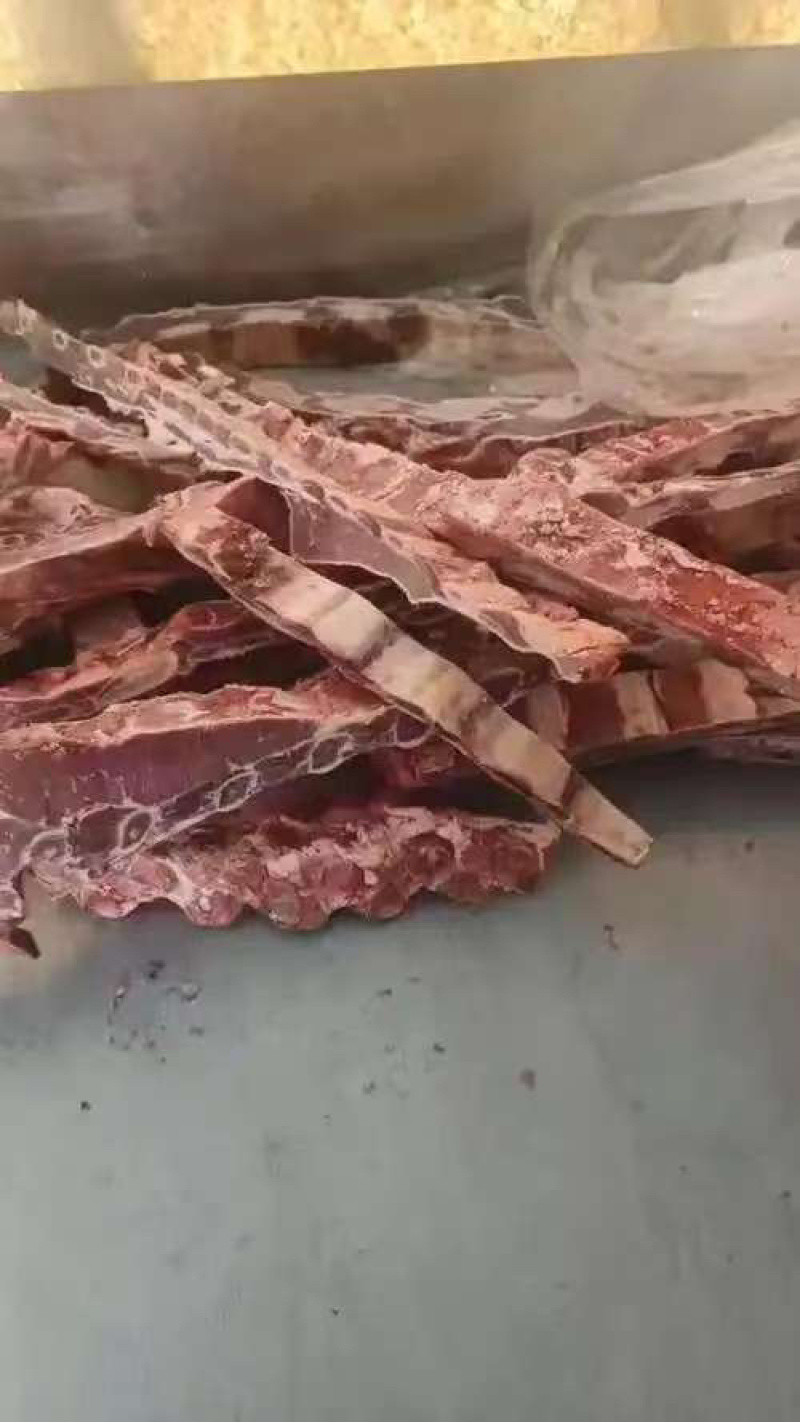 牛光排