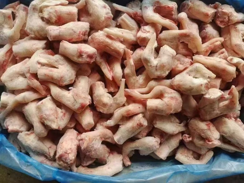 羊拐筋