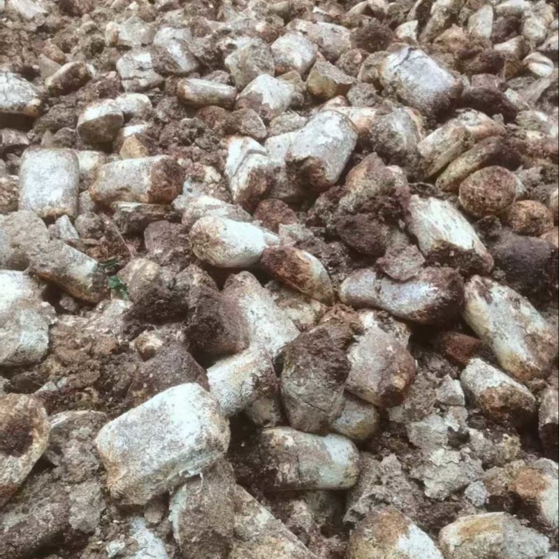 【菌渣】平菇菌渣富含有机质量大从优产地直发品质保障可视频