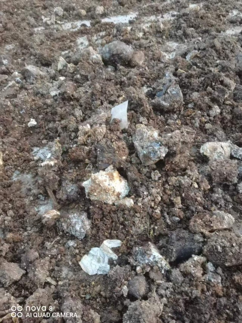 【菌渣】平菇菌渣富含有机质量大从优产地直发品质保障可视频