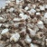 【菌渣】平菇菌渣富含有机质量大从优产地直发品质保障可视频