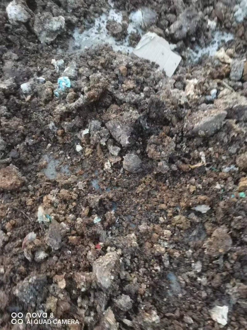 【菌渣】平菇菌渣富含有机质量大从优产地直发品质保障可视频