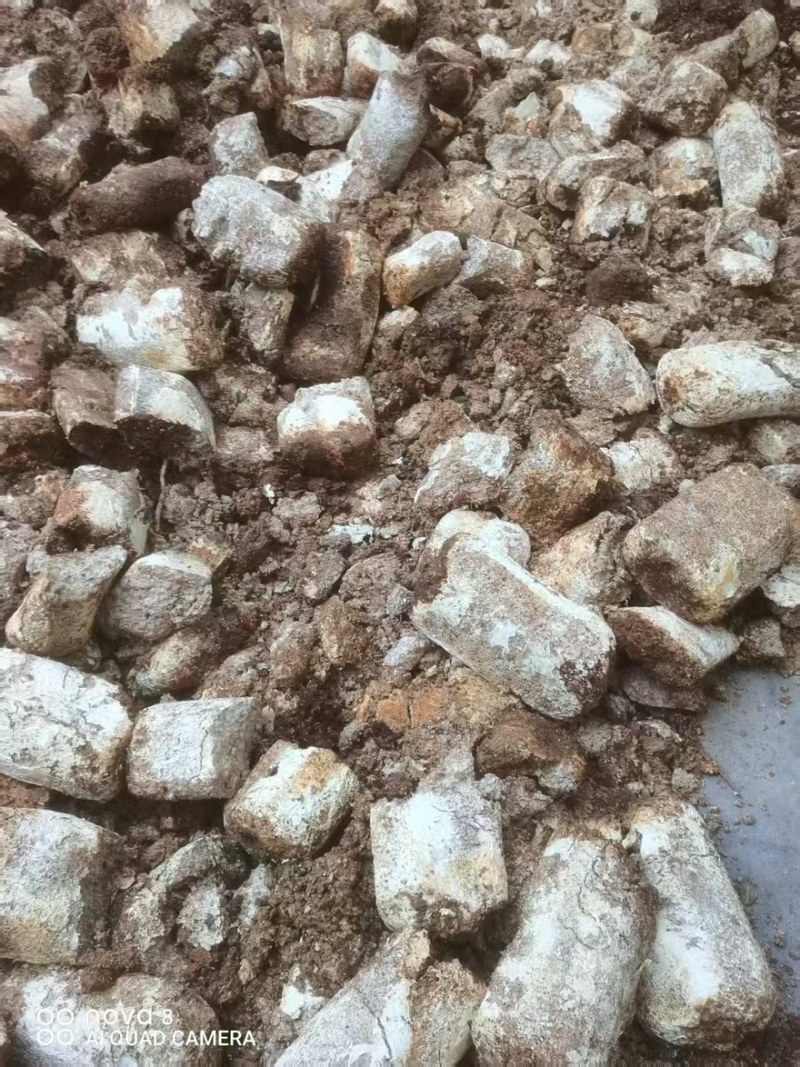 【菌渣】平菇菌渣富含有机质量大从优产地直发品质保障可视频