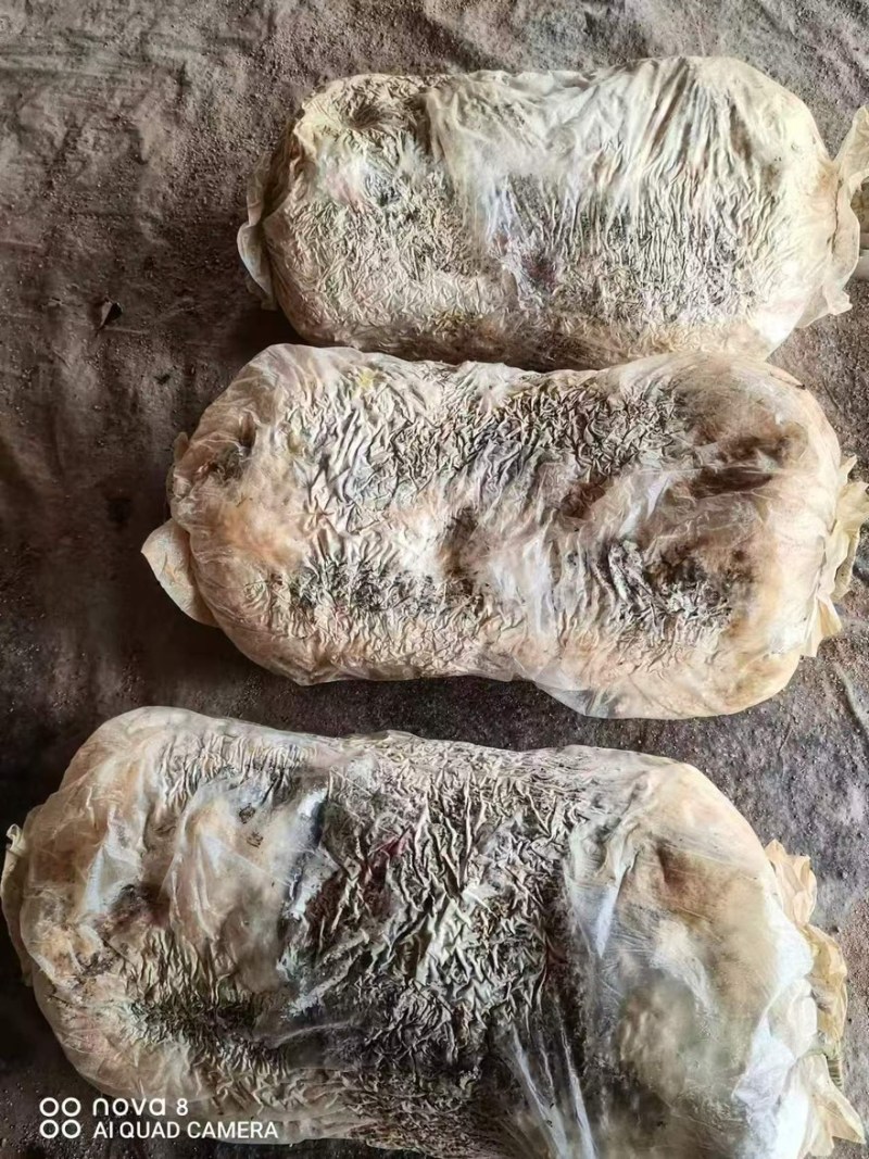 【菌渣】平菇菌渣富含有机质量大从优产地直发品质保障可视频