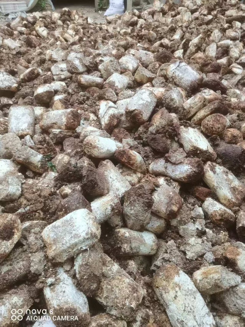 【菌渣】平菇菌渣富含有机质量大从优产地直发品质保障可视频