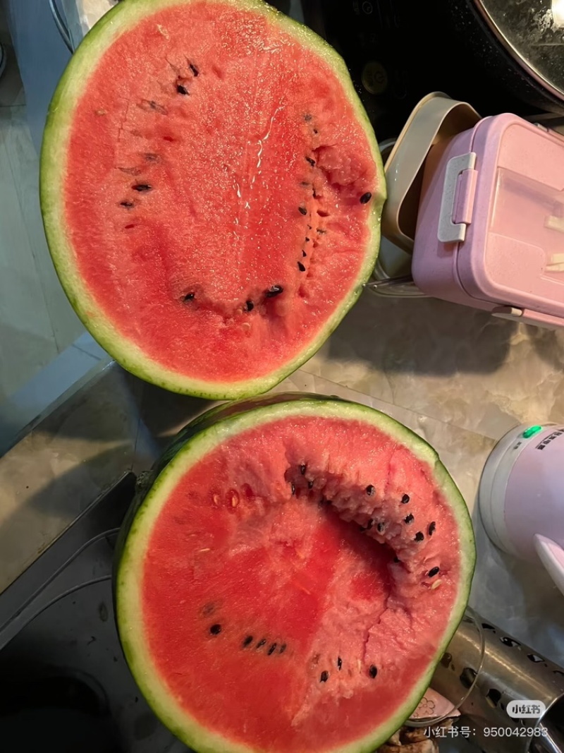 河北西瓜河北甜王西瓜皮薄多汁包熟包甜量大从优