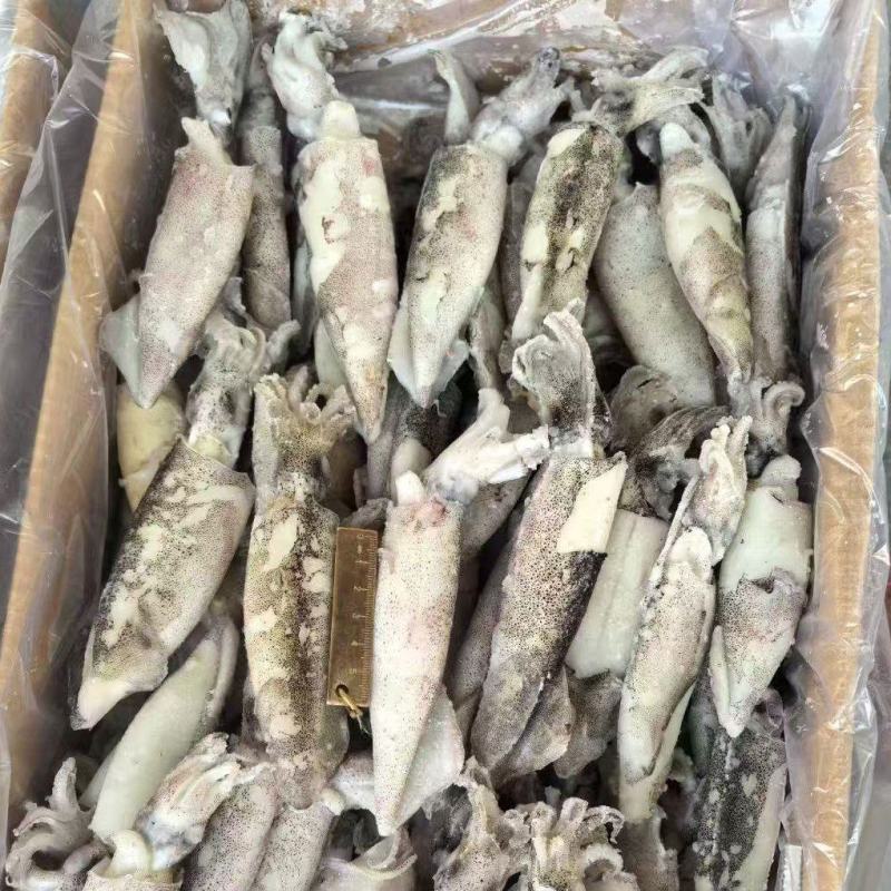 笔管鱿鱼