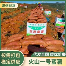 【实力】云南红河火山一号红薯/六鳌蜜薯/精品蜜薯货源充足