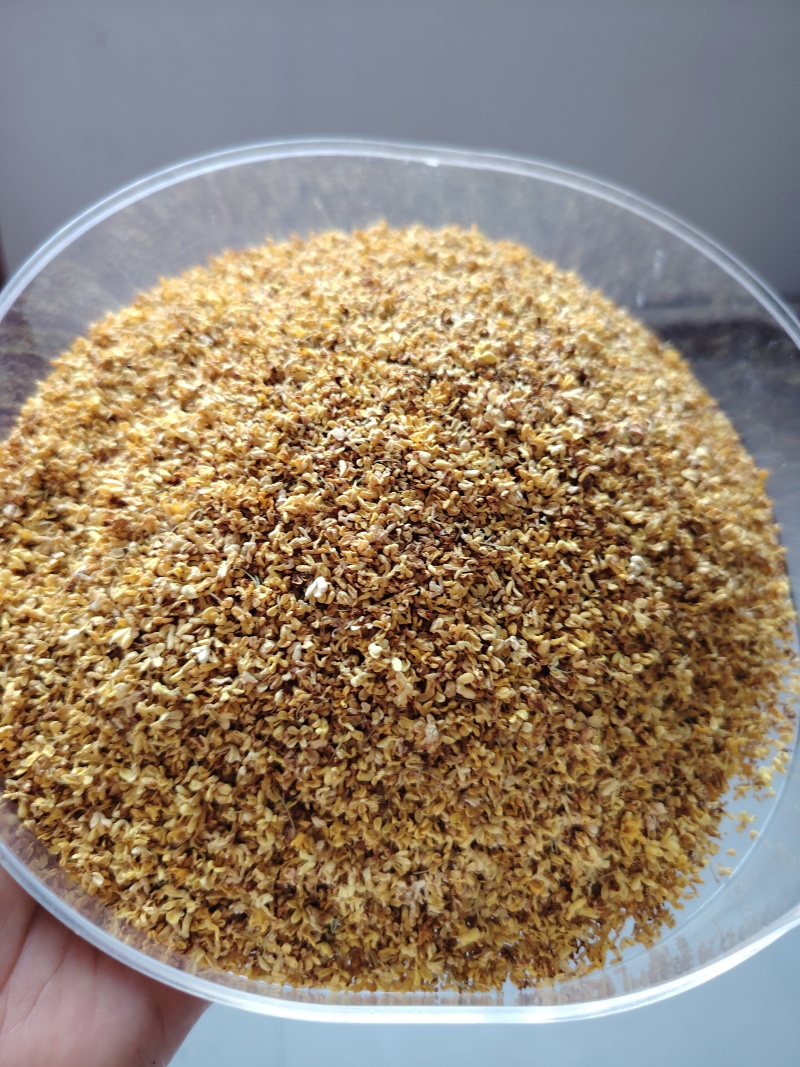 广西精品新鲜干桂花桂花干农副干货大量现货