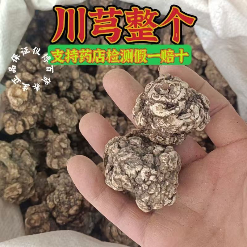 川芎整个中药材川芎产地直销当年新货无硫香味浓郁供应药店诊
