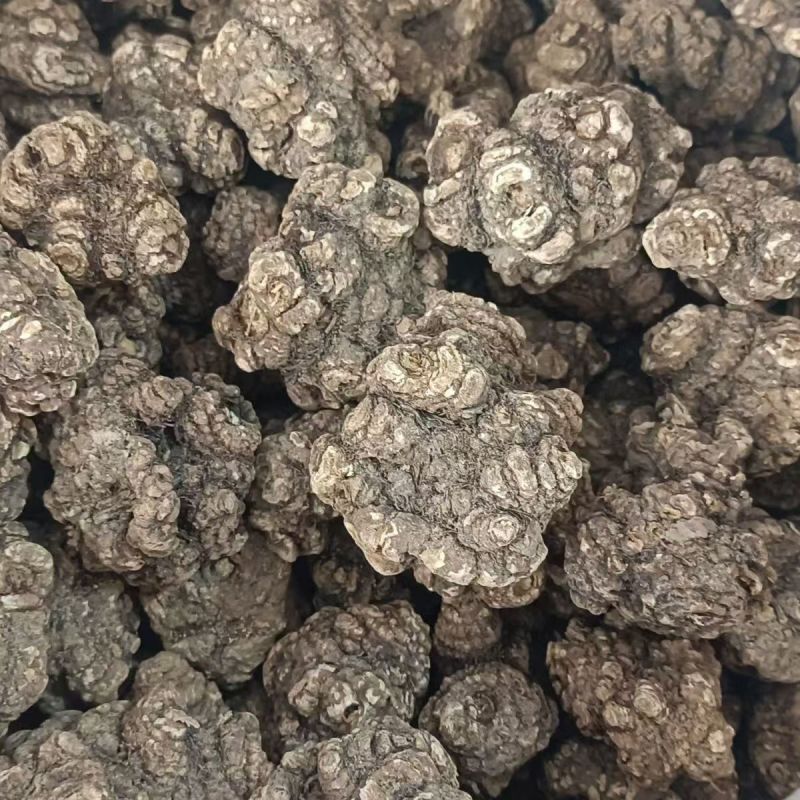 川芎整个中药材川芎产地直销当年新货无硫香味浓郁供应药店诊