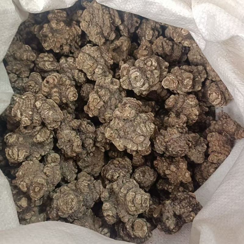 川芎整个中药材川芎产地直销当年新货无硫香味浓郁供应药店诊