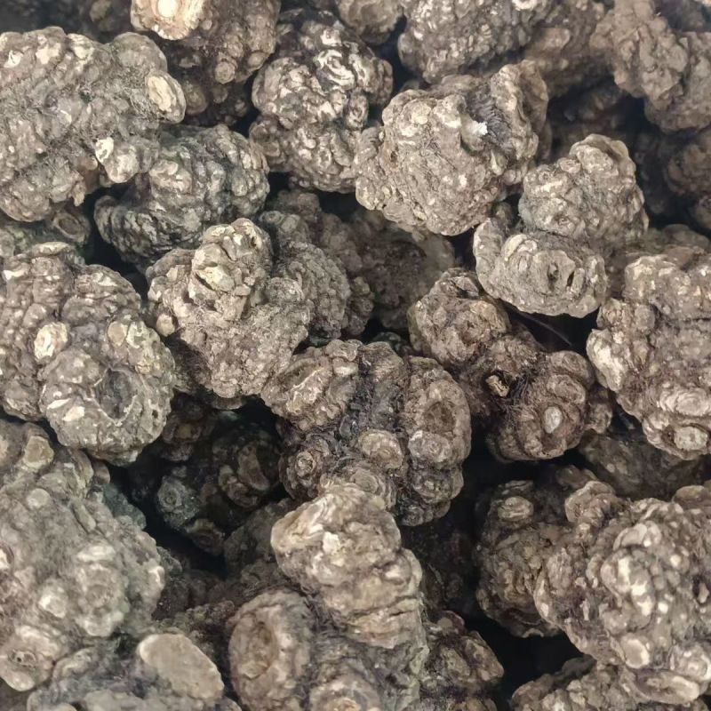 川芎整个中药材川芎产地直销当年新货无硫香味浓郁供应药店诊