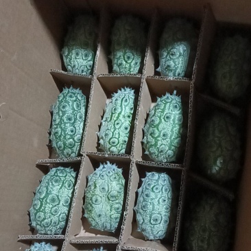 火参果产地直发