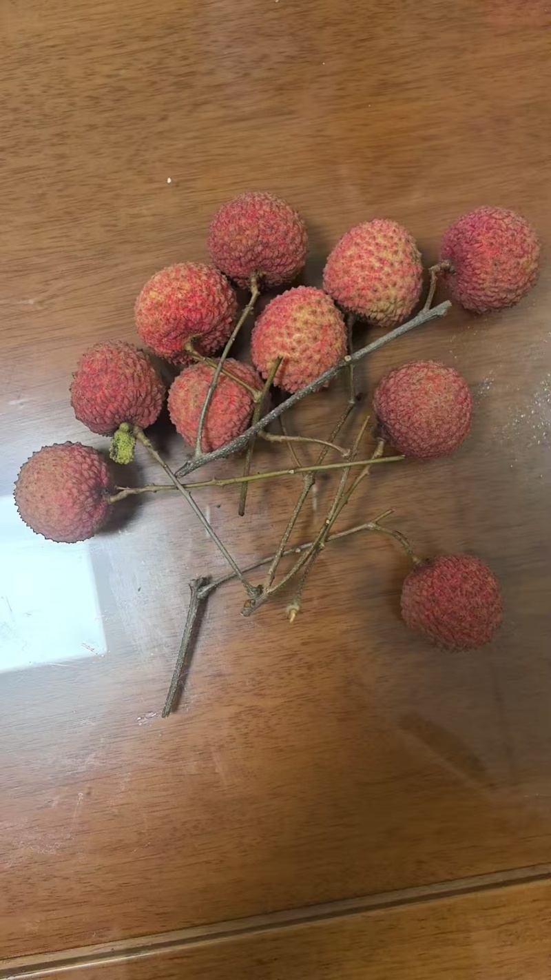 桂味荔枝