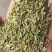 甘肃一手货源小茴香新鲜上市价格美丽质量**欢迎采购热卖中