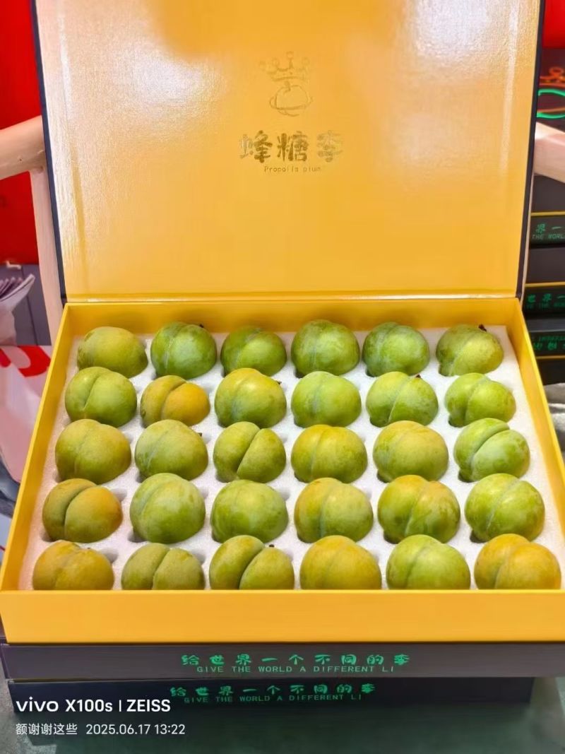 自家果园--六马镇板阳村蜂糖李