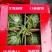 精品西瓜大量上市美都西瓜产地直发皮薄个大甜度高