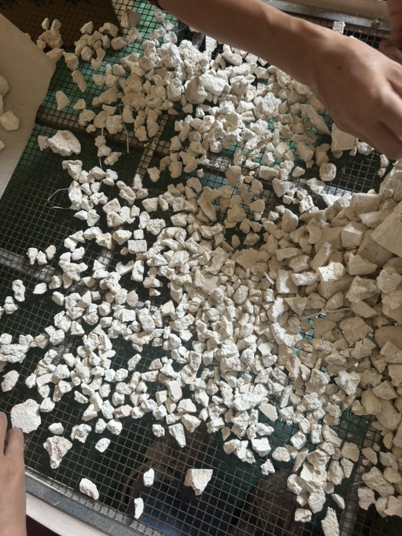 云南纯白茯苓颗粒大碎量大从优批发零售，全国包邮