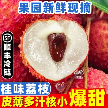 广东桂味荔枝批发电商一件代发