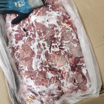 牛前驱郑州现货一件也是批发价
