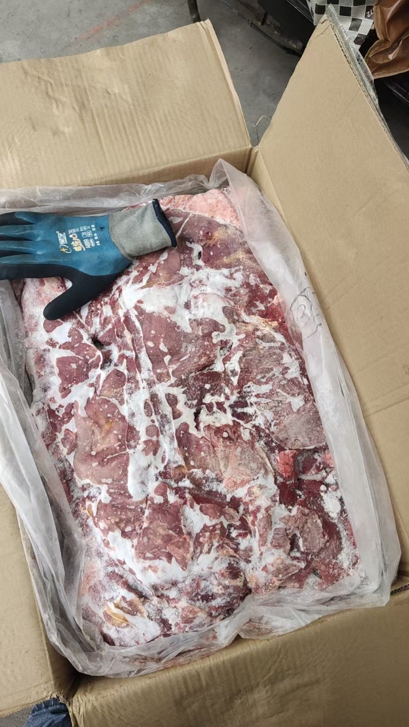 牛前驱郑州现货一件也是批发价