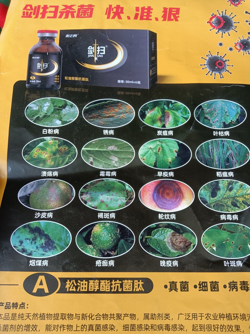 杀菌剂