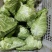量大价格优惠