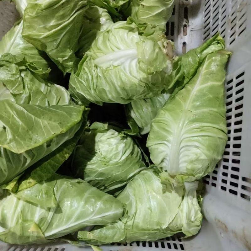 量大价格优惠