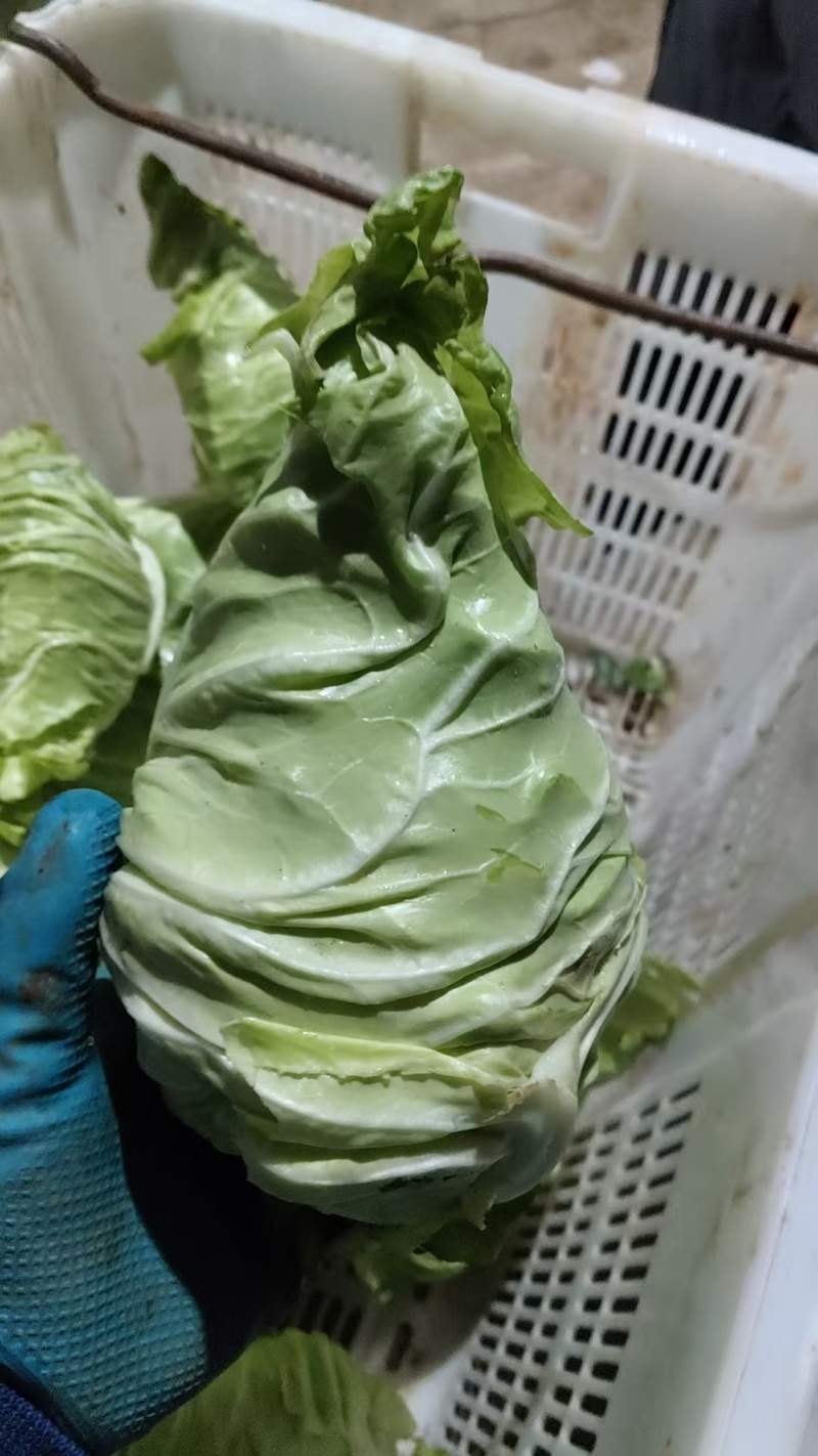 量大价格优惠