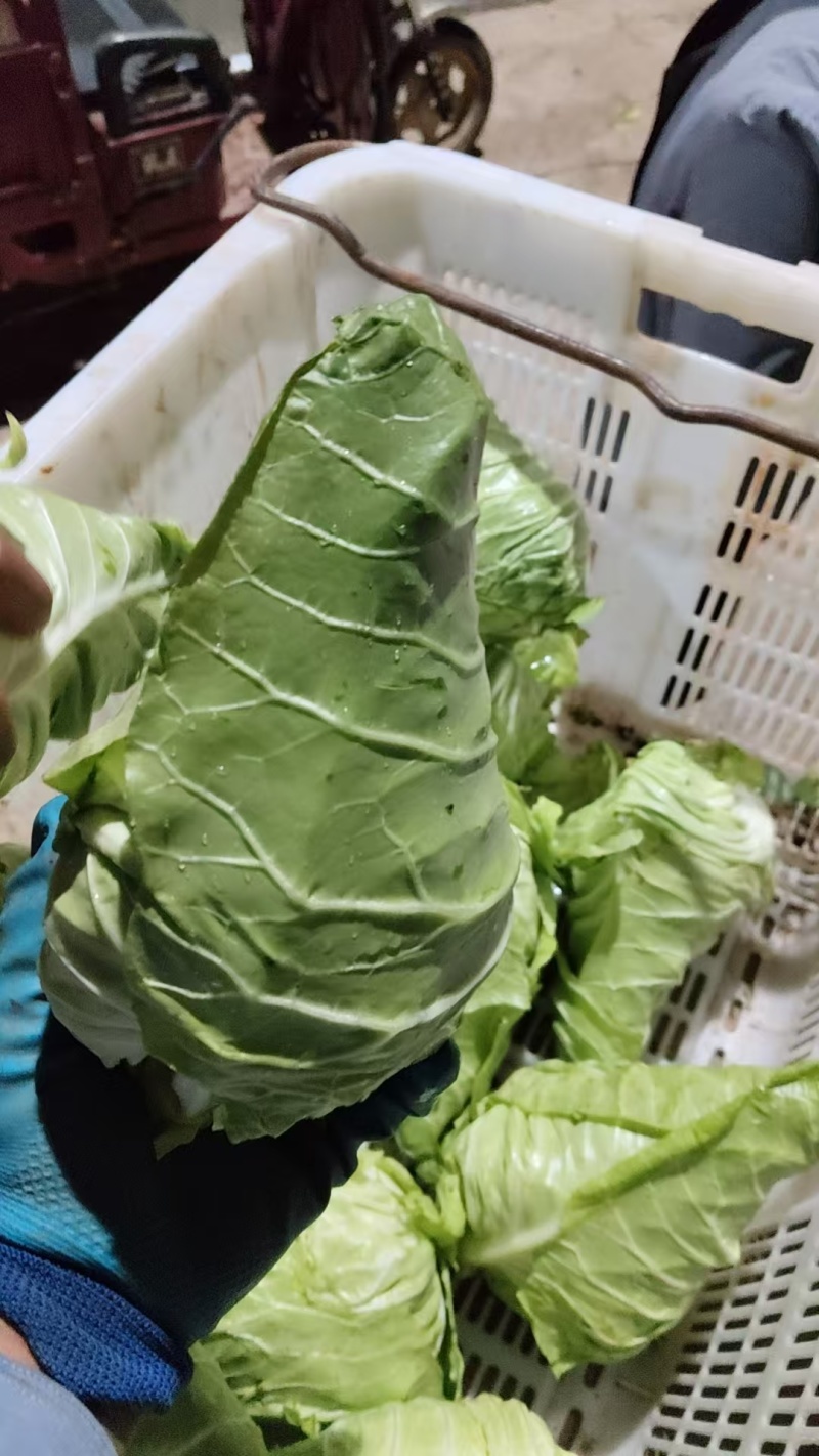 量大价格优惠
