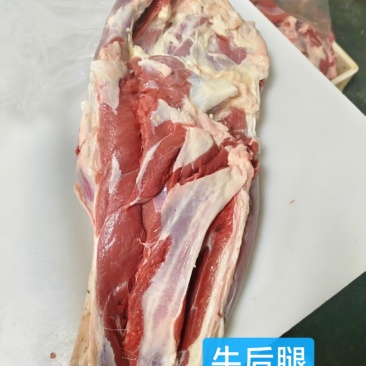 牛后腱