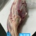 牛后腱