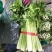 万邦芹菜优质精品