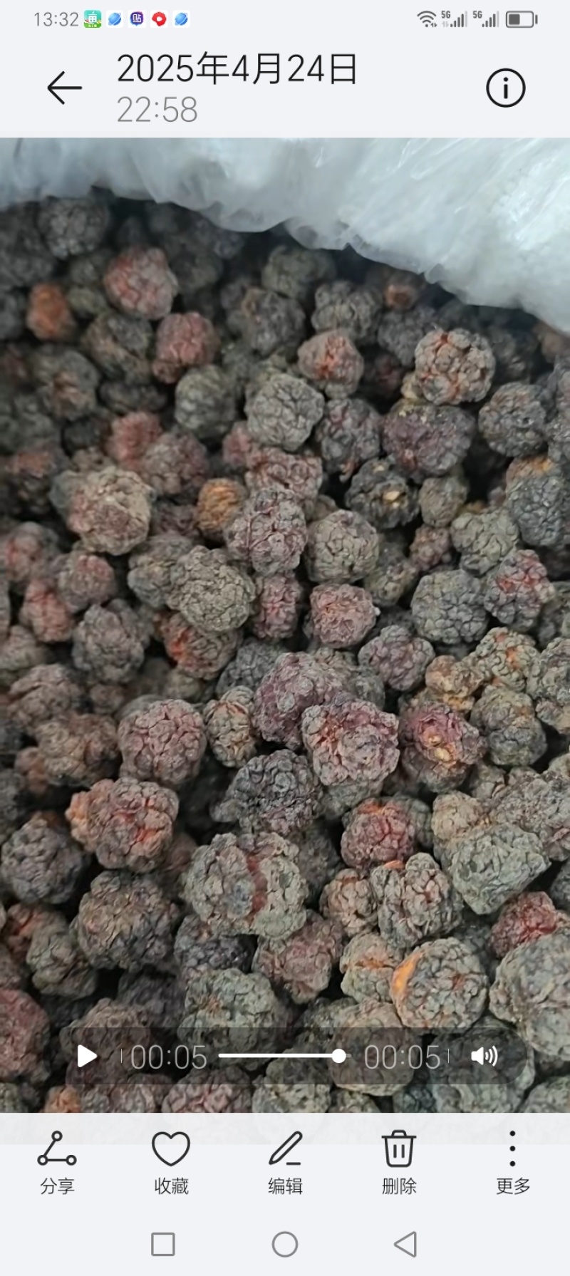 烘干柘果