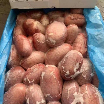 包邮猪宝猪睾丸宝一级猪蛋20斤装高品质解冻后很鲜