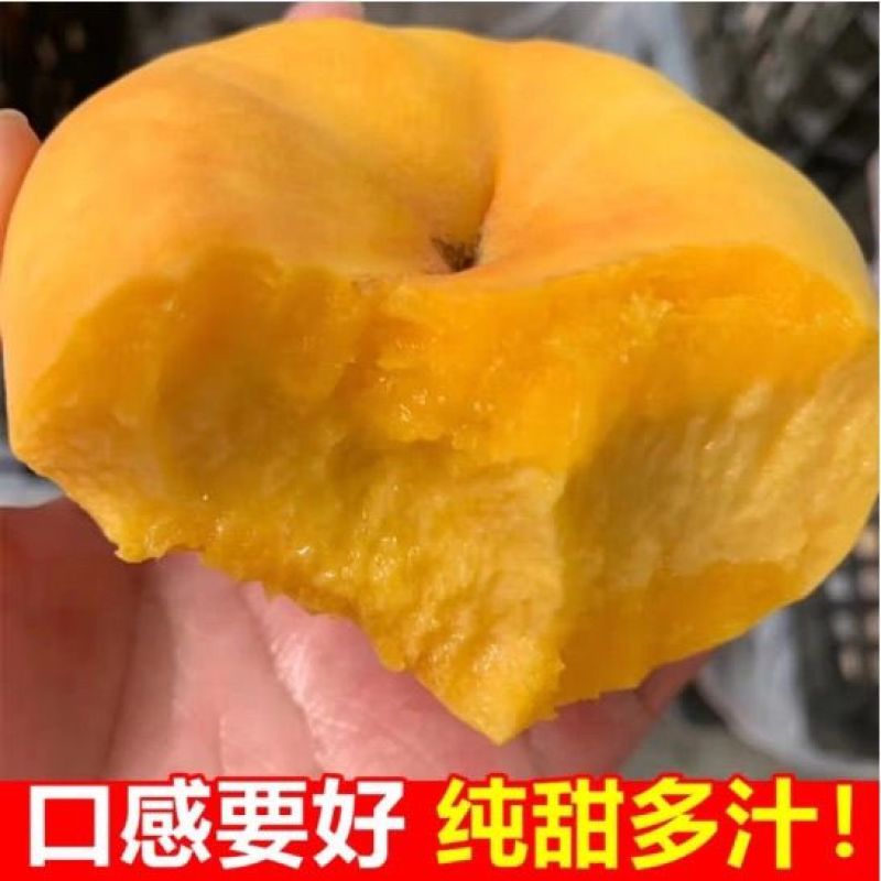 山东黄金毛蟠桃，果肉厚实口感甜价格实惠可批发零售