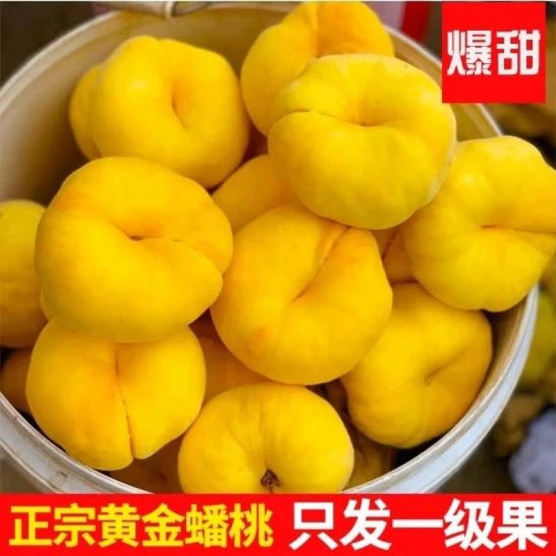 山东黄金毛蟠桃，果肉厚实口感甜价格实惠可批发零售
