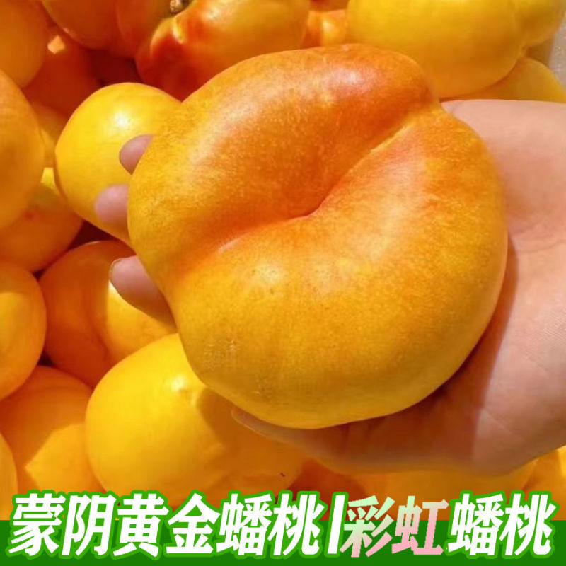 山东暴甜彩虹油蟠桃，黄油蟠桃产地直发价格实惠运输便利