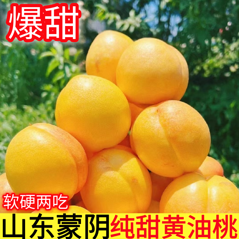 山东蒙阴黄油桃，软硬两吃汁甜肉厚对接全国市场欢迎联系