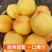 山东蒙阴黄油桃，软硬两吃汁甜肉厚对接全国市场欢迎联系