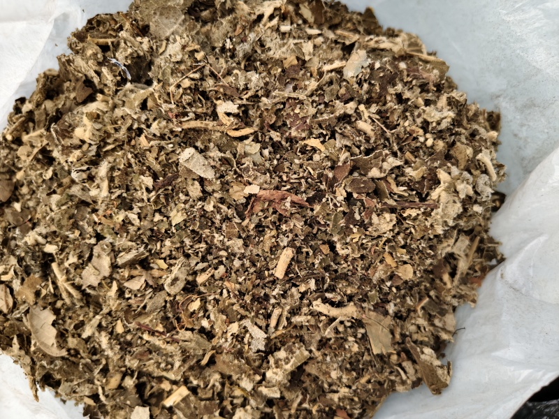 艾纳中药材艾纳香广西正品精选野生新鲜干货