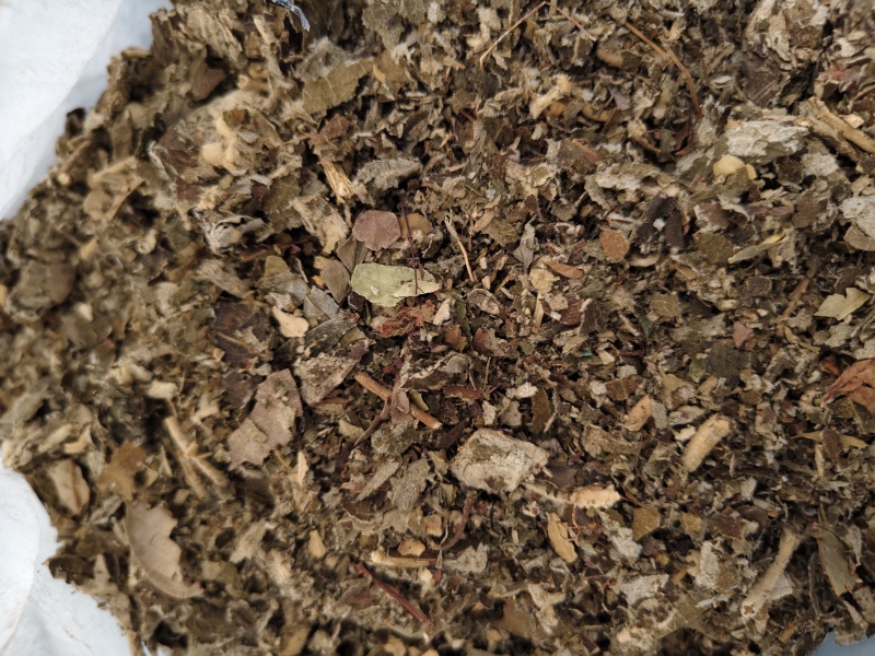 艾纳中药材艾纳香广西正品精选野生新鲜干货