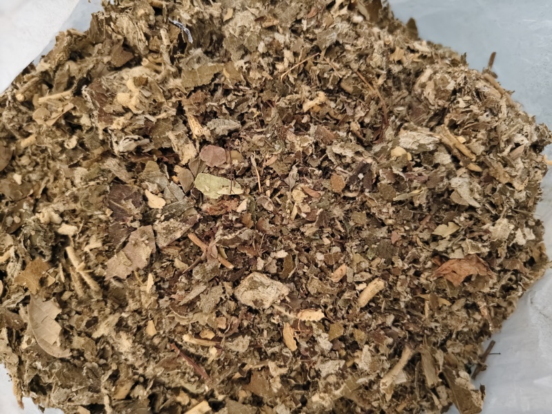 艾纳中药材艾纳香广西正品精选野生新鲜干货